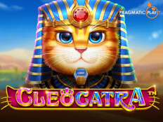 Cats casino64